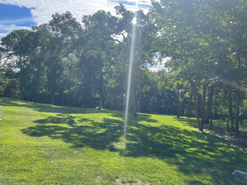 Sunlight shinning down on field near forest treeline